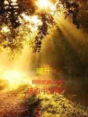 灵魂殖民者