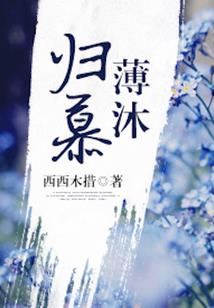 蒂贝尔大陆