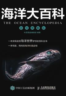 王妃，求宠幸
