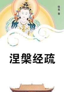 夺灵逆天