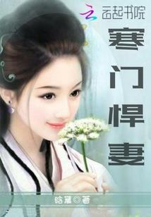 十两剑气二两酒