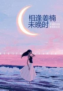 掌轮回