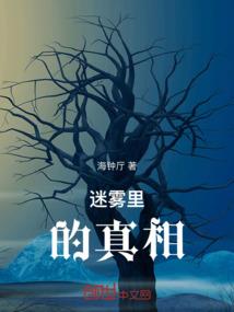 九步黎明