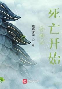 你是我的山茶花