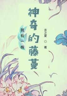 斗神之心