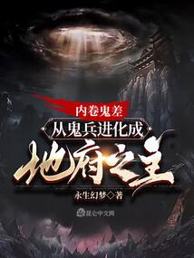 侧妻乃一国公主