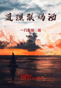 宇内风华录