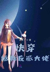 风华年华