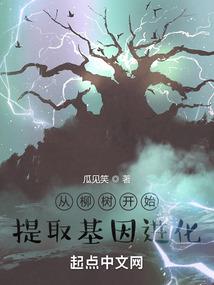 前方白色