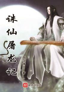 寻藏者