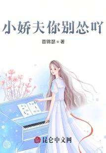 双子外传之无敌舰队