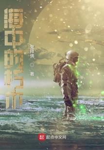 镇国女将军