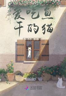 仅在缘分相遇中