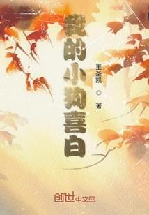 九阳天魔