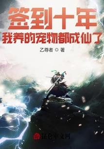 机牌传说