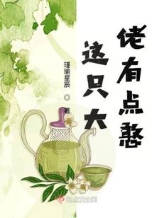 怒剑名侠