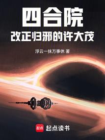 一本正经书