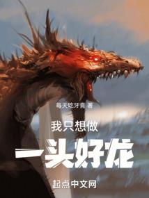 神奇宝贝之智光