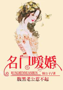 无限之谋刺者传说