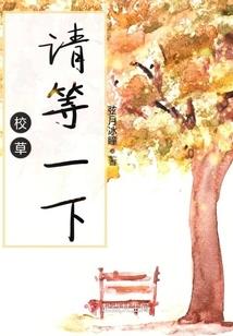 云之雾