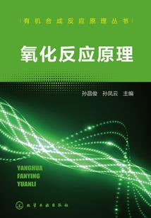 跆拳道少年