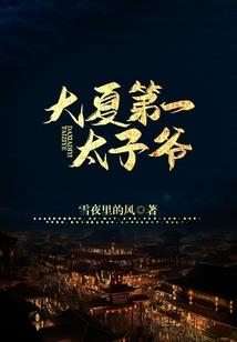 纵横大明