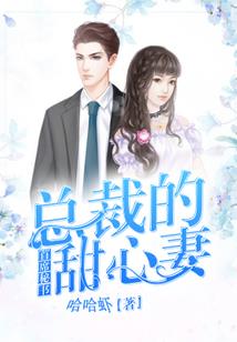精灵之伊布传说