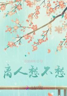 暗黑无双之三国