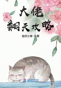 执手望年华