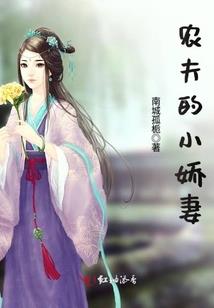 修真界之龙风大陆