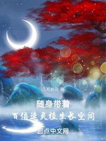 艾尔兰的故事