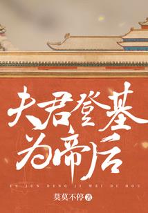 猫咪的专属阳光