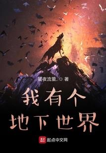 口袋妖怪之小精灵系统