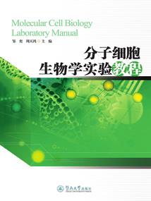 我的世界：最后战线