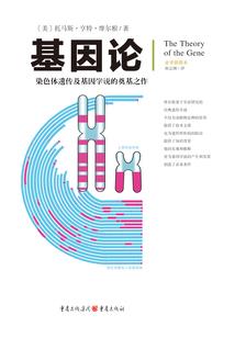 总统撞入怀：宠妻枕边书