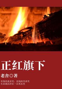 都市禁法仙尊