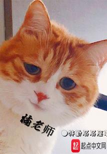 米迦勒回忆录