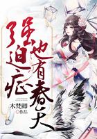 剑鸣乱世第二部