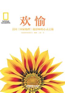 爱情里的傻瓜