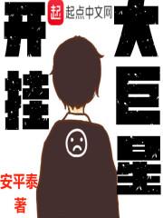幻想乡的冰之妖精