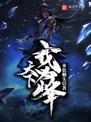 转护国将军