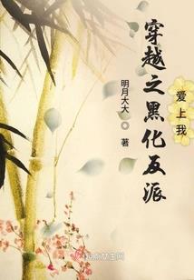影舞大陆