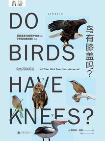 反派一二三四五