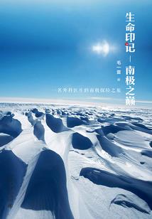 唐风璀璨