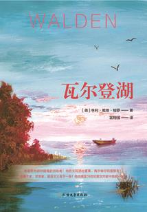 躲在不知名世界做造物神
