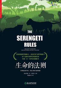 经年与同