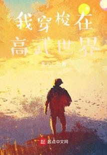 超级盗贼系统