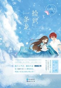 夏日的丛林