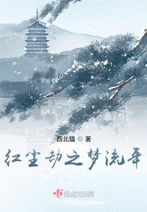 天龙引