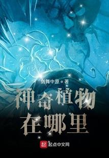 秦时之浪子回头